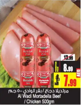 Ansar Mall Al Wadi Mortadella Beef / Chicken 500gm offer