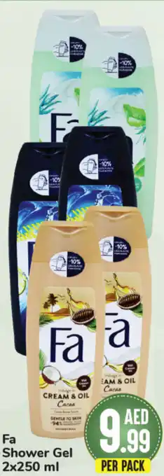 Day To Day Fa Shower Gel 2x250 ml offer