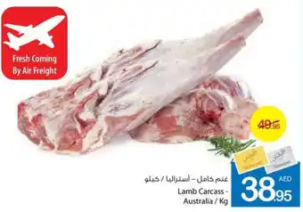 Ajman Market Lamb Carcass / kg offer