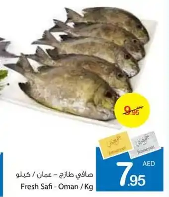 Ajman Market Fresh Safi / kg offer