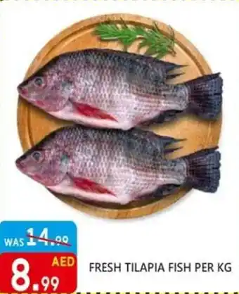 United Hypermarket FRESH TILAPIA FISH PER KG offer