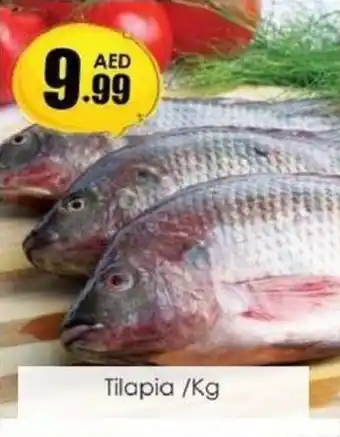 Tilapia Kg