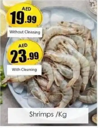 Amber Shrimps kg offer