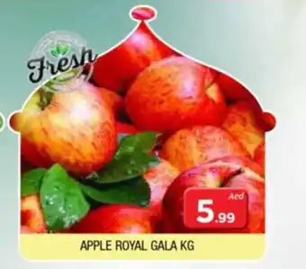 Al Madina APPLE ROYAL GALA KG offer
