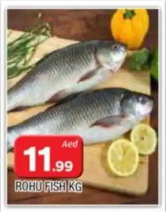Al Madina ROHU FISH KG offer