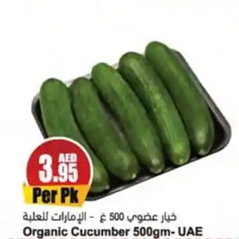 Almaya supermarket Organic Cucumber 500gm offer