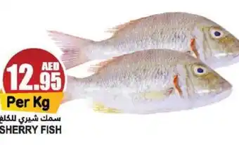 Almaya supermarket SHERRY FISH offer