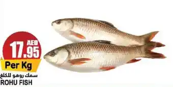 Almaya supermarket ROHU FISH offer