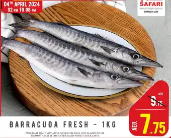 Safari Hypermarket BARRACUDA FRESH 1KG offer
