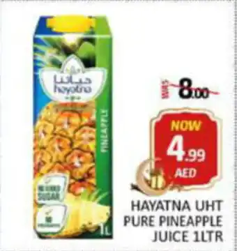 Al Madina Hypermarket HAYATNA UHT PURE PINEAPPLE JUICE 1LTR offer