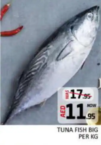 Al Madina Hypermarket TUNA FISH BIG PER KG offer