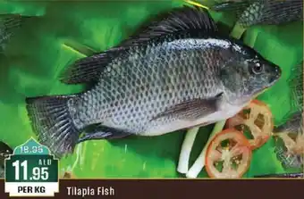 West Zone Supermarket Tilapia Fish PER KG offer