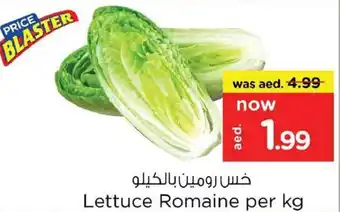 Nesto Lettuce Romaine per kg offer