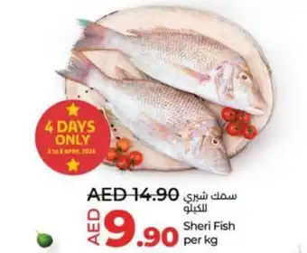 Lulu Hypermarket Sheri Fish per kg offer