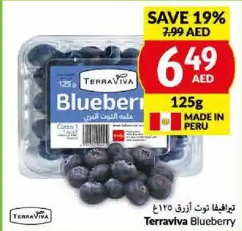 Viva Terraviva Blueberry 125G offer