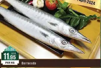 West Zone Supermarket Barracuda offer