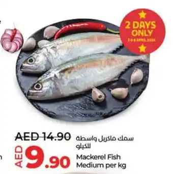 Lulu Hypermarket Mackerel Fish Medium per kg offer