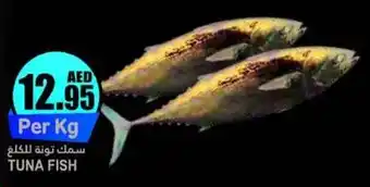Almaya supermarket TUNA FISH Per Kg offer