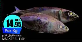 Almaya supermarket MACKEREL FISH Per Kg offer