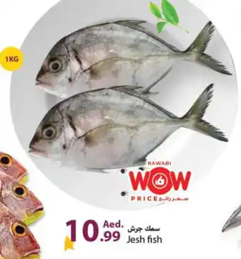 Rawabi Market Jesh fish 1KG offer