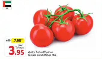 Union Coop Tomato Bunch Kg offer