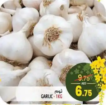 Safari Hypermarket GARLIC 1KG offer