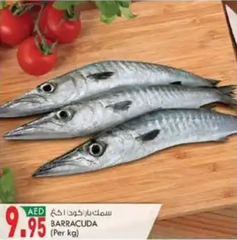 KM Trading BARRACUDA per kg offer