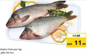 Nesto Katla Fish per kg offer