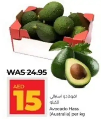 Lulu Hypermarket Avocado Hass per kg offer