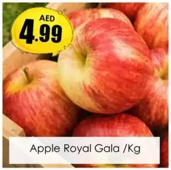 Amber Apple Royal Gala Kg offer