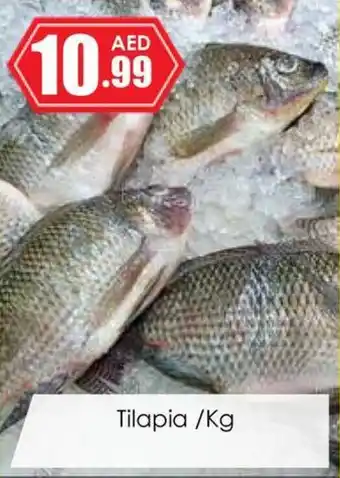 Amber Tilapia Kg offer