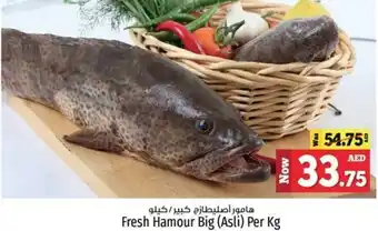 Kenz Hypermarket Fresh Hamour Big Asli Per Kg offer
