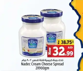 Kenz Hypermarket Nadec Cream Cheese Spread 2X900gm offer