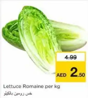Nesto Lettuce Romaine per kg offer