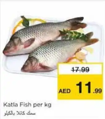 Nesto Katla Fish per kg offer