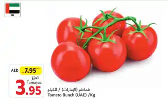 Union Coop Tomato Bunch /Kg offer