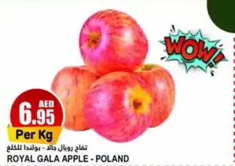 Almaya supermarket ROYAL GALA APPLE Per Kg offer