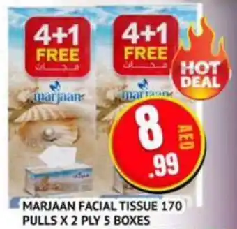 Abraj Al Madina MARJAAN FACIAL TISSUE 170 PULLS x 2Ply 5 BOXES offer