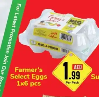 Day To Day Farmer's Select Eggs 1x6 pcs offer