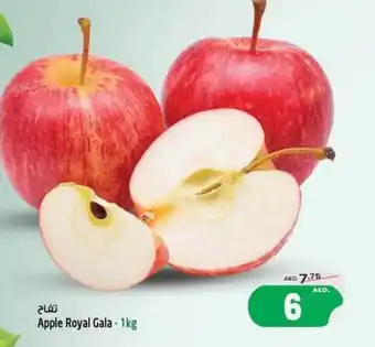 Safari Hypermarket Apple Royal Gala - 1kg offer