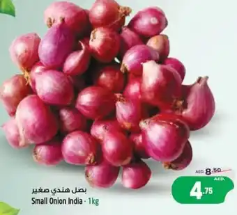 Safari Hypermarket Small Onion 1kg offer