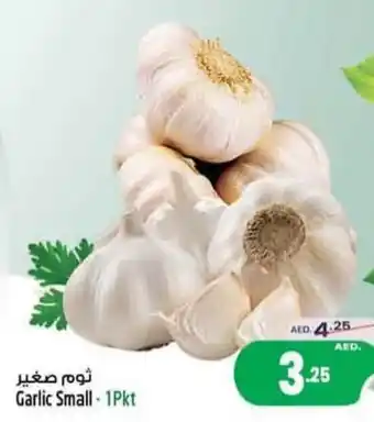 Safari Hypermarket Garlic Small - 1Pkt offer