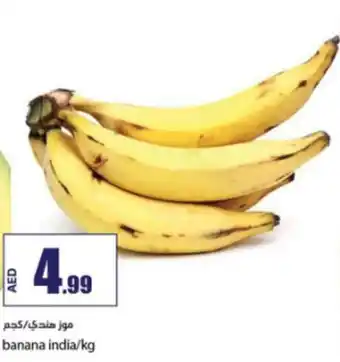 Rawabi Market banana india/kg offer