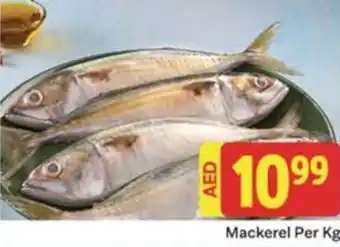 City Retail Supermarket Mackerel Per Kg offer