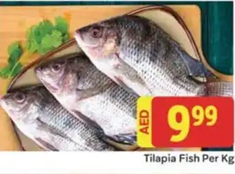 City Retail Supermarket Tilapia Fish Per Kg offer