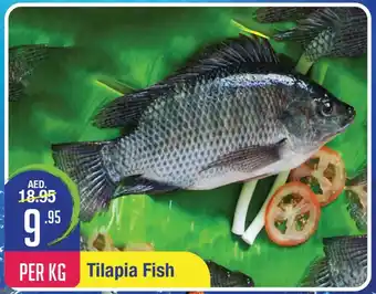 West Zone Supermarket Tilapia Fish PER KG offer