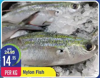 West Zone Supermarket Nylon Fish PER KG offer