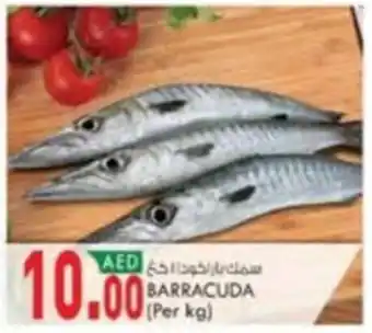 KM Trading BARRACUDA (Per kg) offer