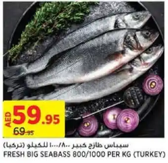 Géant FRESH BIG SEABASS 800/1000 PER KG offer