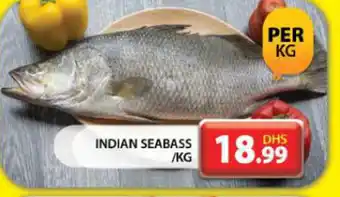 Grand Hyper Market INDIAN SEABASS /KG offer